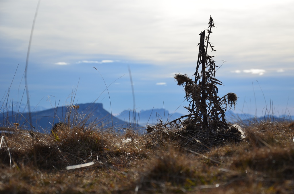 2016-12 France/Le Semnoz/DSC_0218.JPG